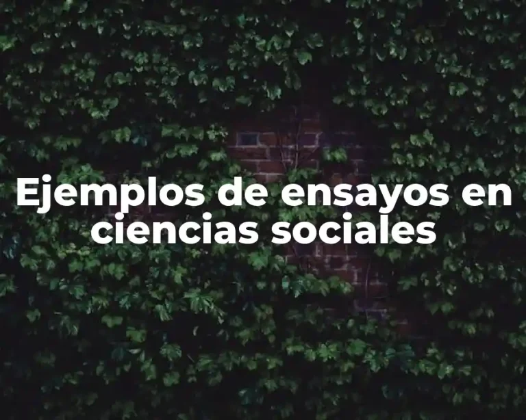 Ejemplos de ensayos en ciencias sociales