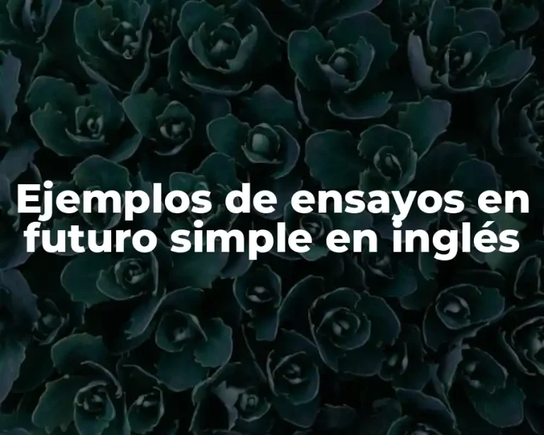 Ejemplos de ensayos en futuro simple en inglés