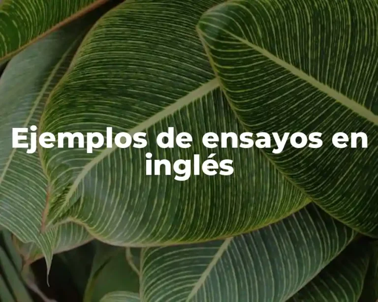 Ejemplos de ensayos en inglés