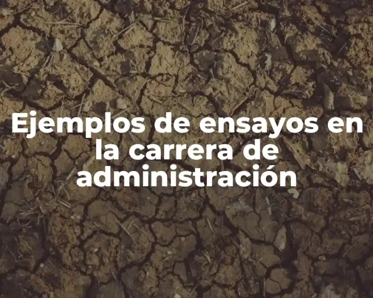 Ejemplos de ensayos en la carrera de administración