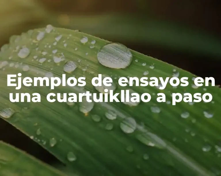 Ejemplos de ensayos en una cuartuikllao a paso