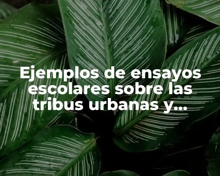 Ejemplos de ensayos escolares sobre las tribus urbanas y Significado