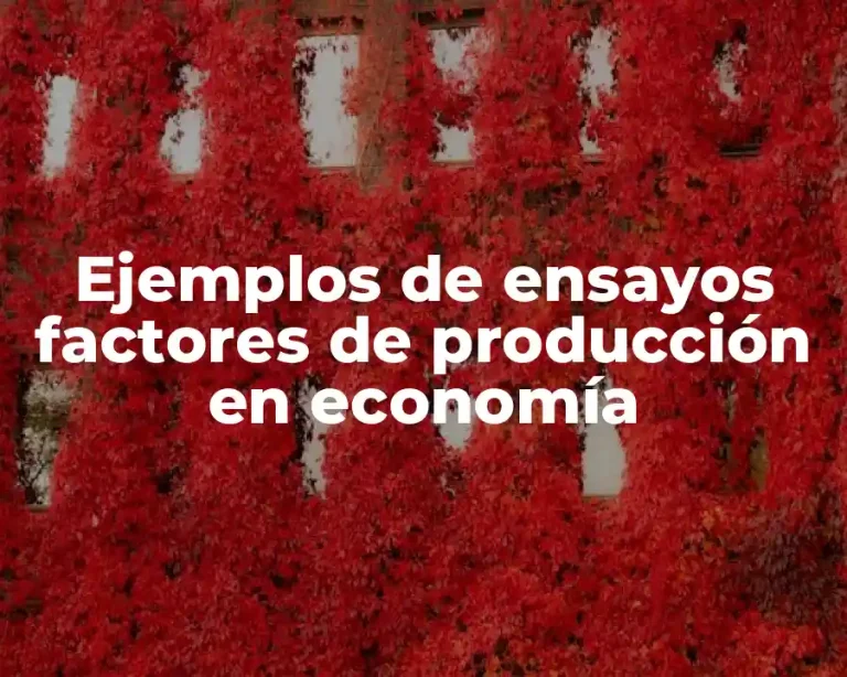 Ejemplos de ensayos factores de producción en economía