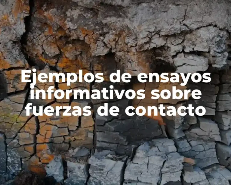 Ejemplos de ensayos informativos sobre fuerzas de contacto