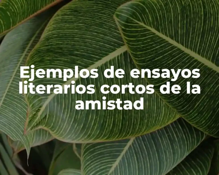 Ejemplos de ensayos literarios cortos de la amistad