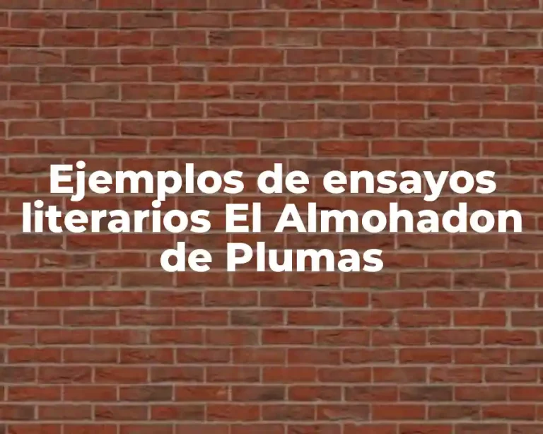Ejemplos de ensayos literarios El Almohadon de Plumas