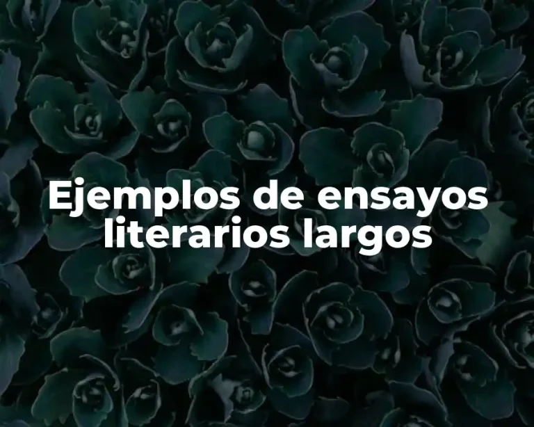 Ejemplos de ensayos literarios largos