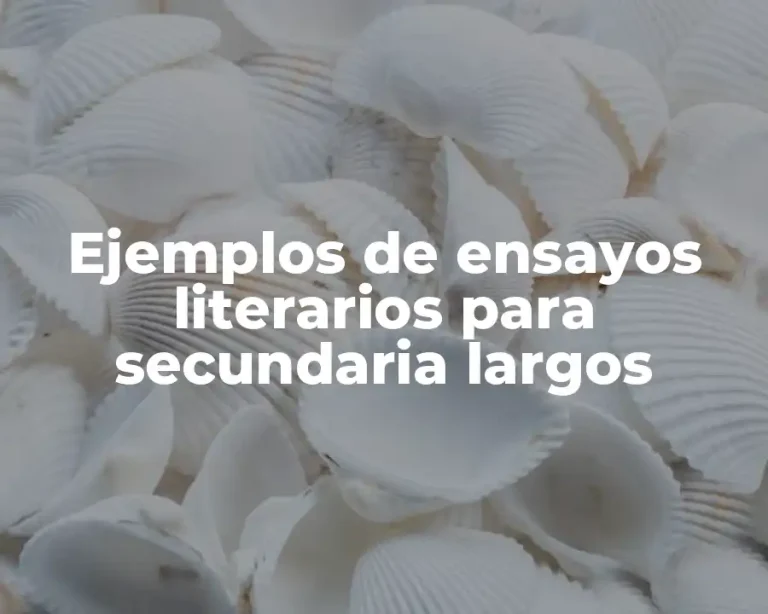 Ejemplos de ensayos literarios para secundaria largos