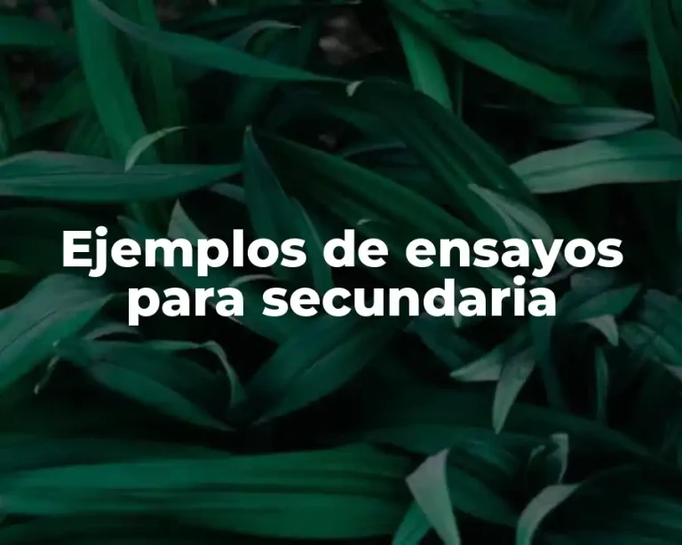 Ejemplos de ensayos para secundaria