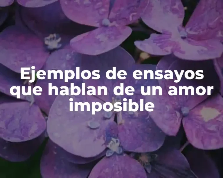 Ejemplos de ensayos que hablan de un amor imposible