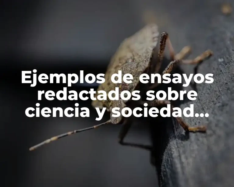Ejemplos de ensayos redactados sobre ciencia y sociedad educativa