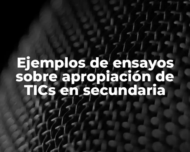 Ejemplos de ensayos sobre apropiación de TICs en secundaria