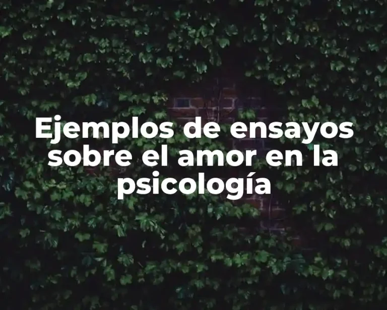 Ejemplos de ensayos sobre el amor en la psicología