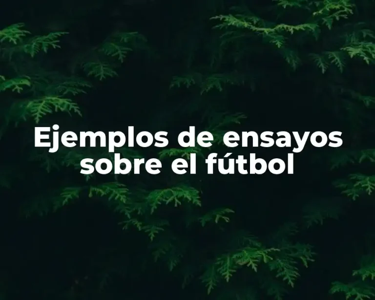 Ejemplos de ensayos sobre el fútbol