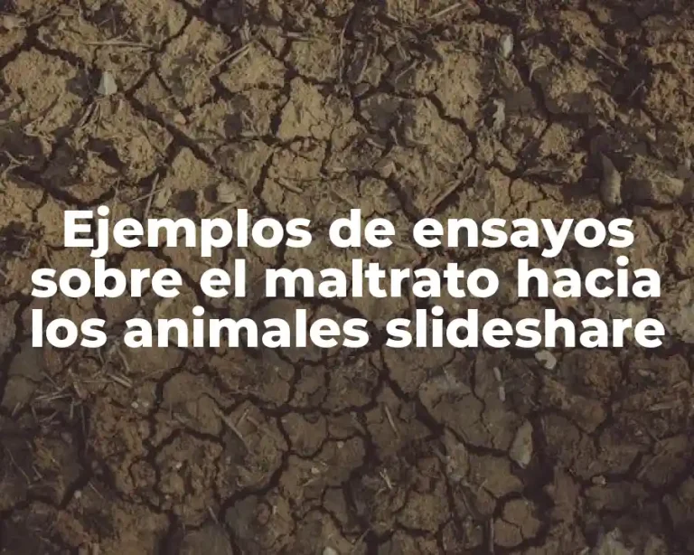 Ejemplos de ensayos sobre el maltrato hacia los animales slideshare