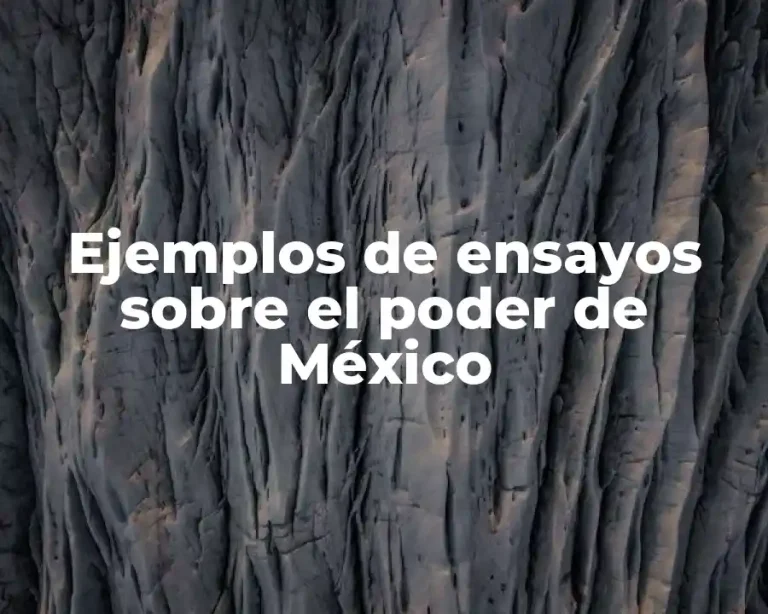 Ejemplos de ensayos sobre el poder de México