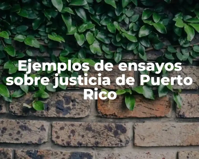 Ejemplos de ensayos sobre justicia de Puerto Rico