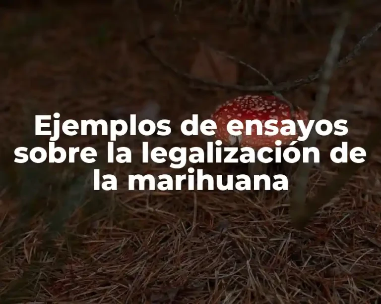 Ejemplos de ensayos sobre la legalización de la marihuana