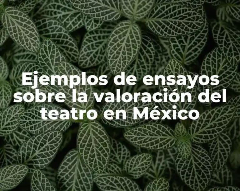 Ejemplos de ensayos sobre la valoración del teatro en México