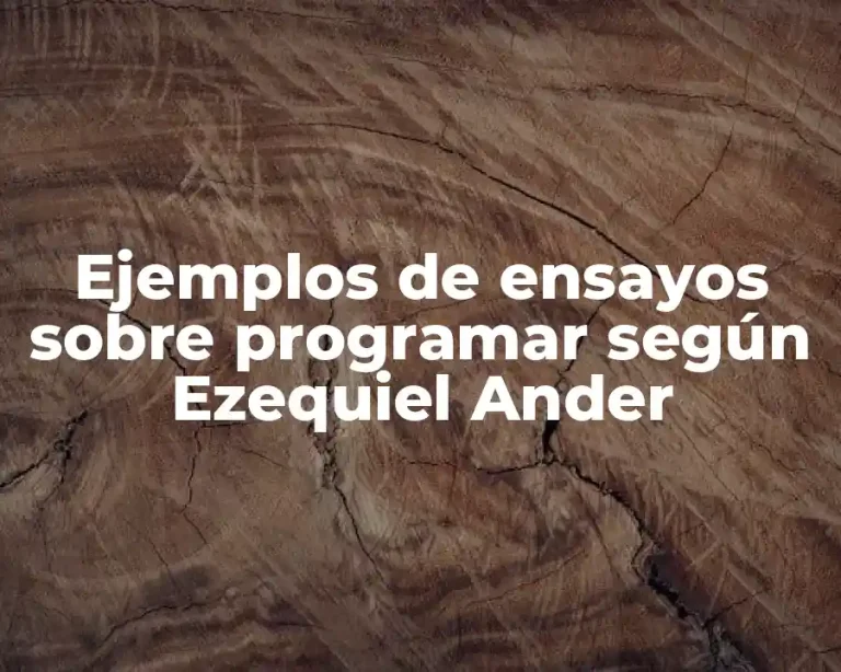 Ejemplos de ensayos sobre programar según Ezequiel Ander