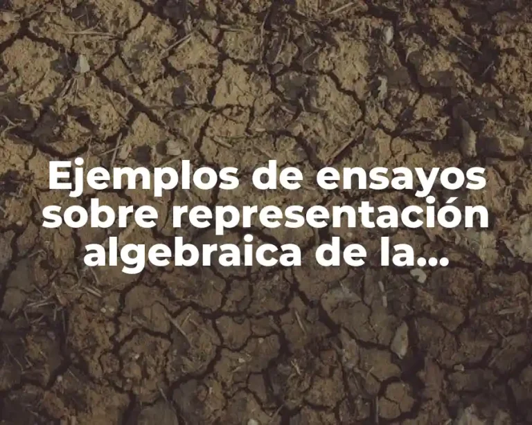 Ejemplos de ensayos sobre representación algebraica de la circunferencia