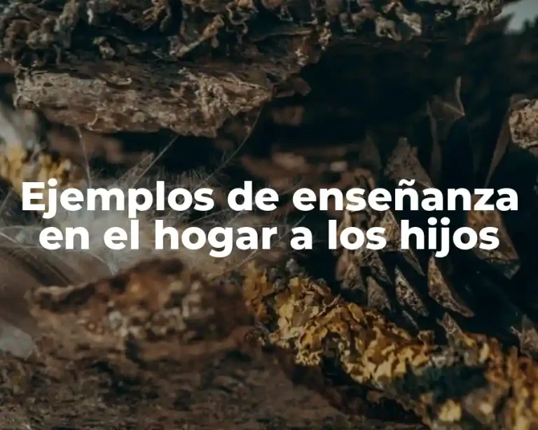 Ejemplos de enseñanza en el hogar a los hijos