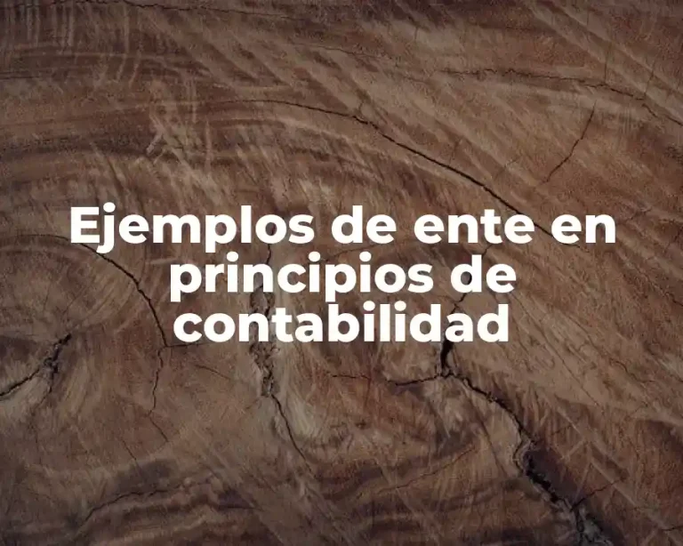 Ejemplos de ente en principios de contabilidad