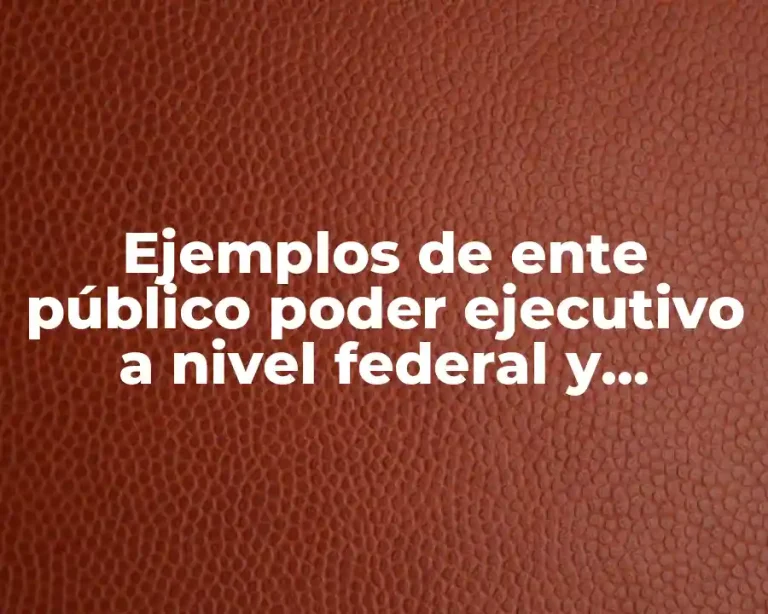 Ejemplos de ente público poder ejecutivo a nivel federal y Significado