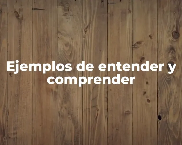 Ejemplos de entender y comprender