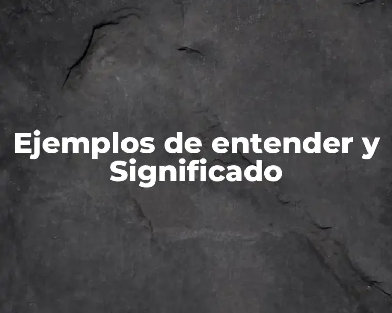 Ejemplos de entender y Significado
