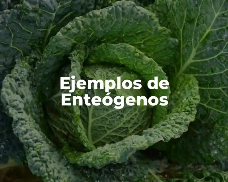 Ejemplos de Enteógenos