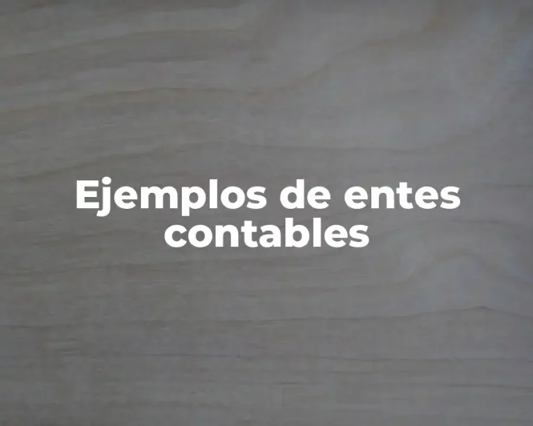 Ejemplos de entes contables