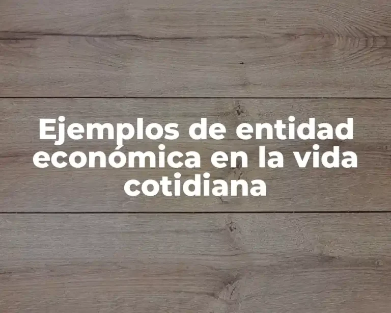Ejemplos de entidad económica en la vida cotidiana