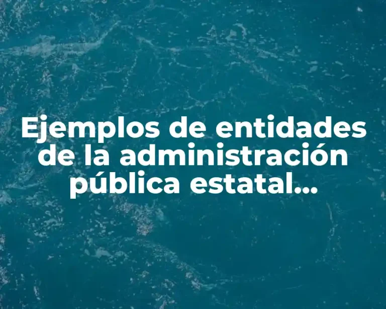 Ejemplos de entidades de la administración pública estatal Chihuahua