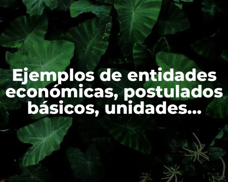 Ejemplos de entidades económicas, postulados básicos, unidades identificables y Significado