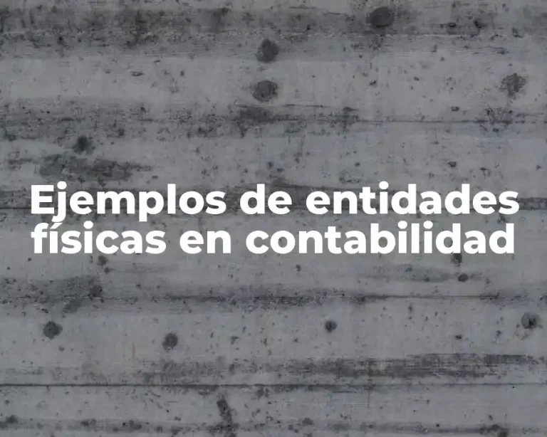 Ejemplos de entidades físicas en contabilidad