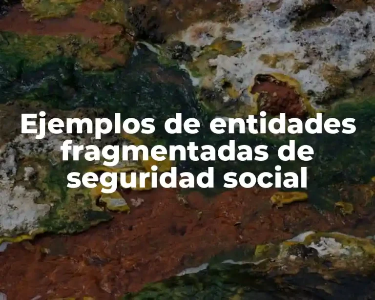 Ejemplos de entidades fragmentadas de seguridad social