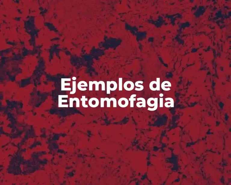 Ejemplos de Entomofagia