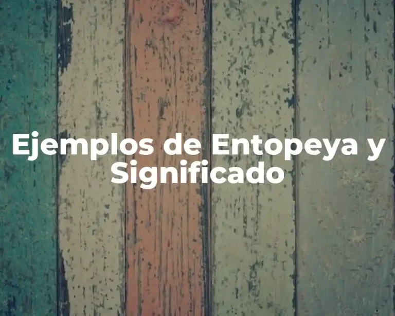 Ejemplos de Entopeya y Significado