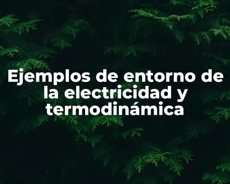 Ejemplos de entorno de la electricidad y termodinámica