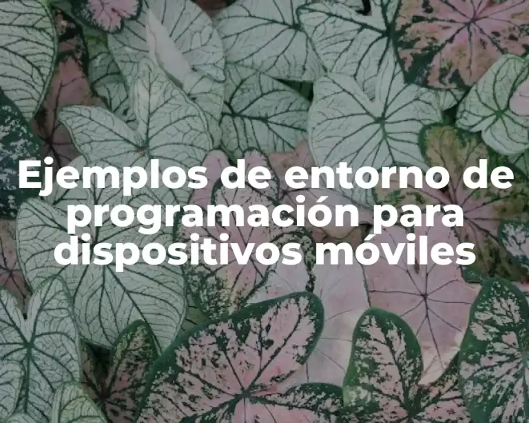 Ejemplos de entorno de programación para dispositivos móviles