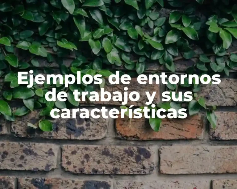 Ejemplos de entornos de trabajo y sus características