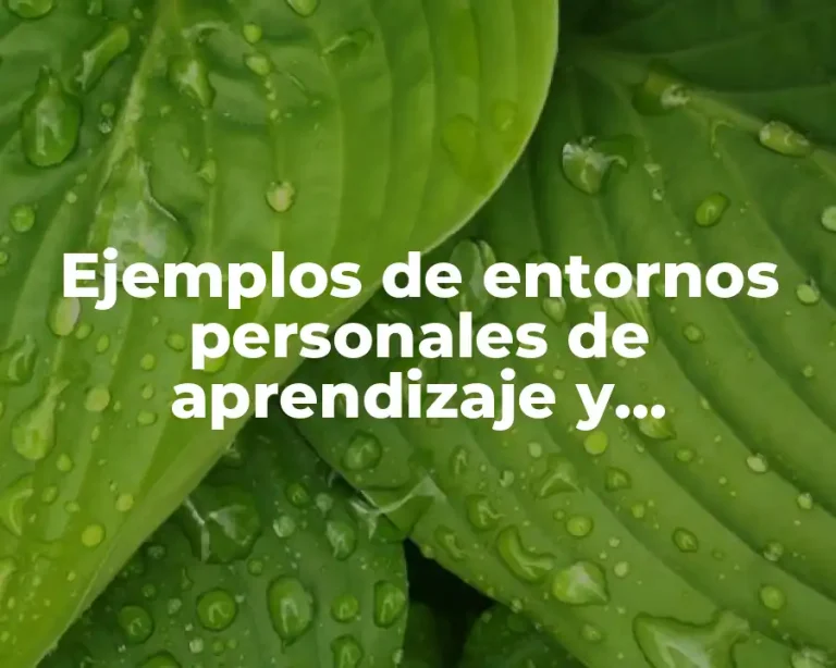 Ejemplos de entornos personales de aprendizaje y Significado