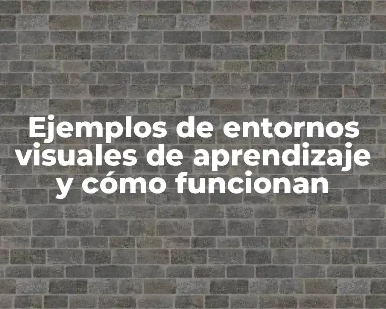 Ejemplos de entornos visuales de aprendizaje y cómo funcionan