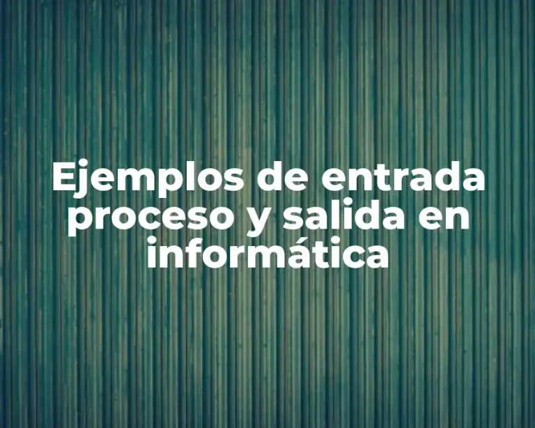Ejemplos de entrada proceso y salida en informática
