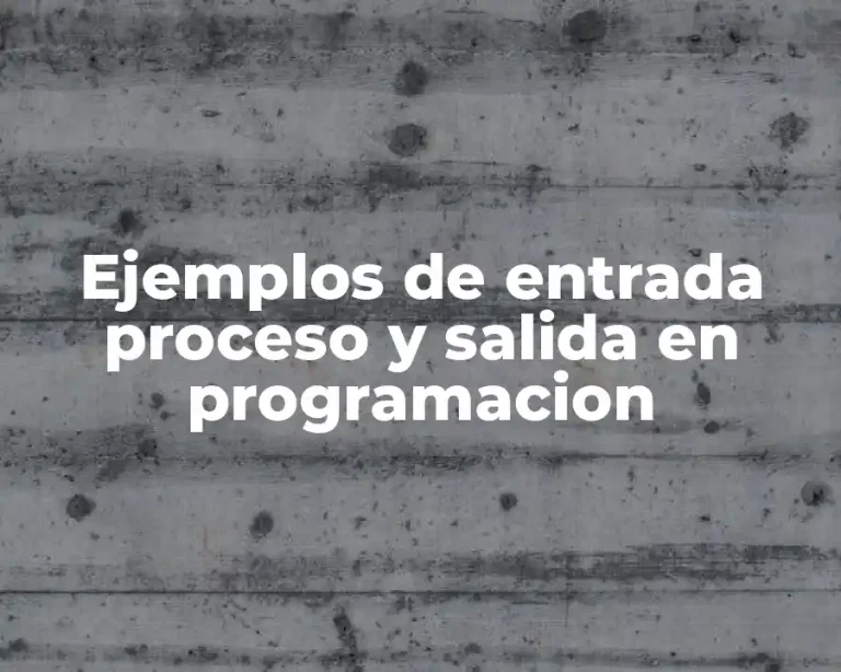 Ejemplos de entrada proceso y salida en programacion