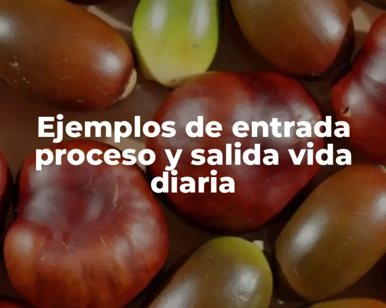 Ejemplos de entrada proceso y salida vida diaria