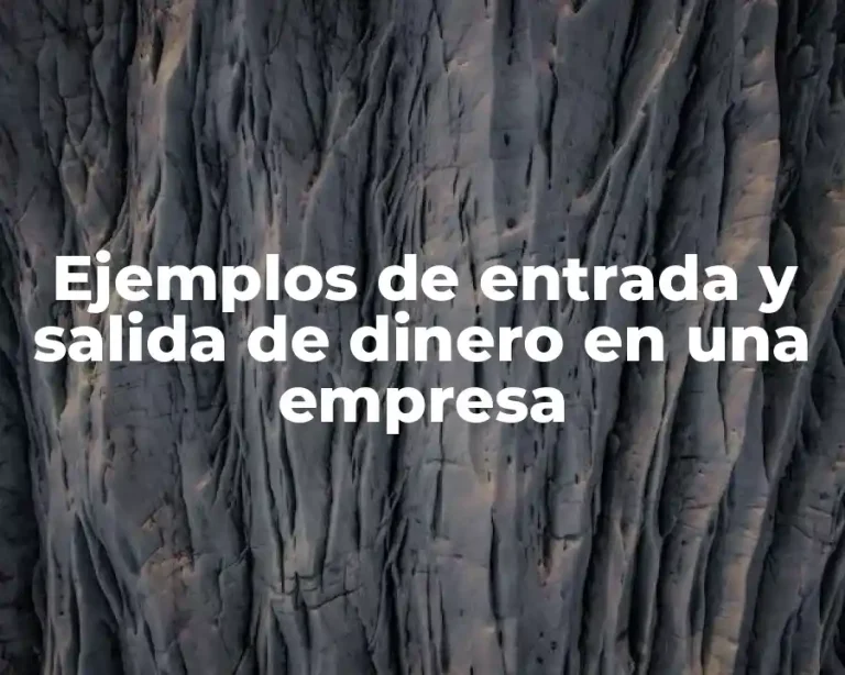 Ejemplos de entrada y salida de dinero en una empresa
