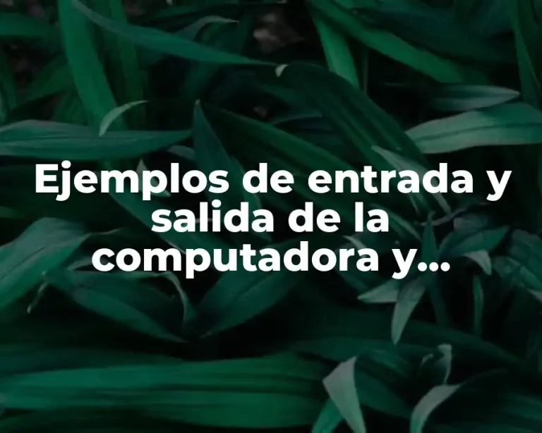 Ejemplos de entrada y salida de la computadora y Significado