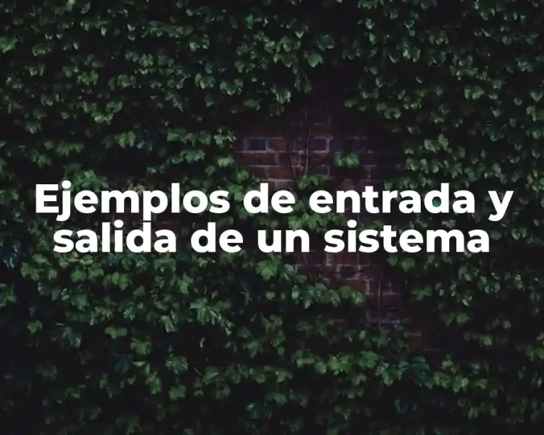 Ejemplos de entrada y salida de un sistema